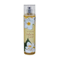 White Tea & Ginger 8.0 oz Body Splash H829339