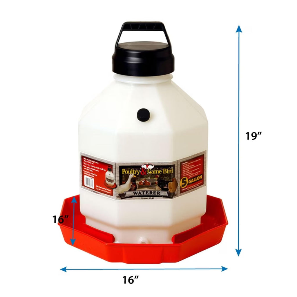 5 Gallon Translucent Plastic Poultry Waterer C9726