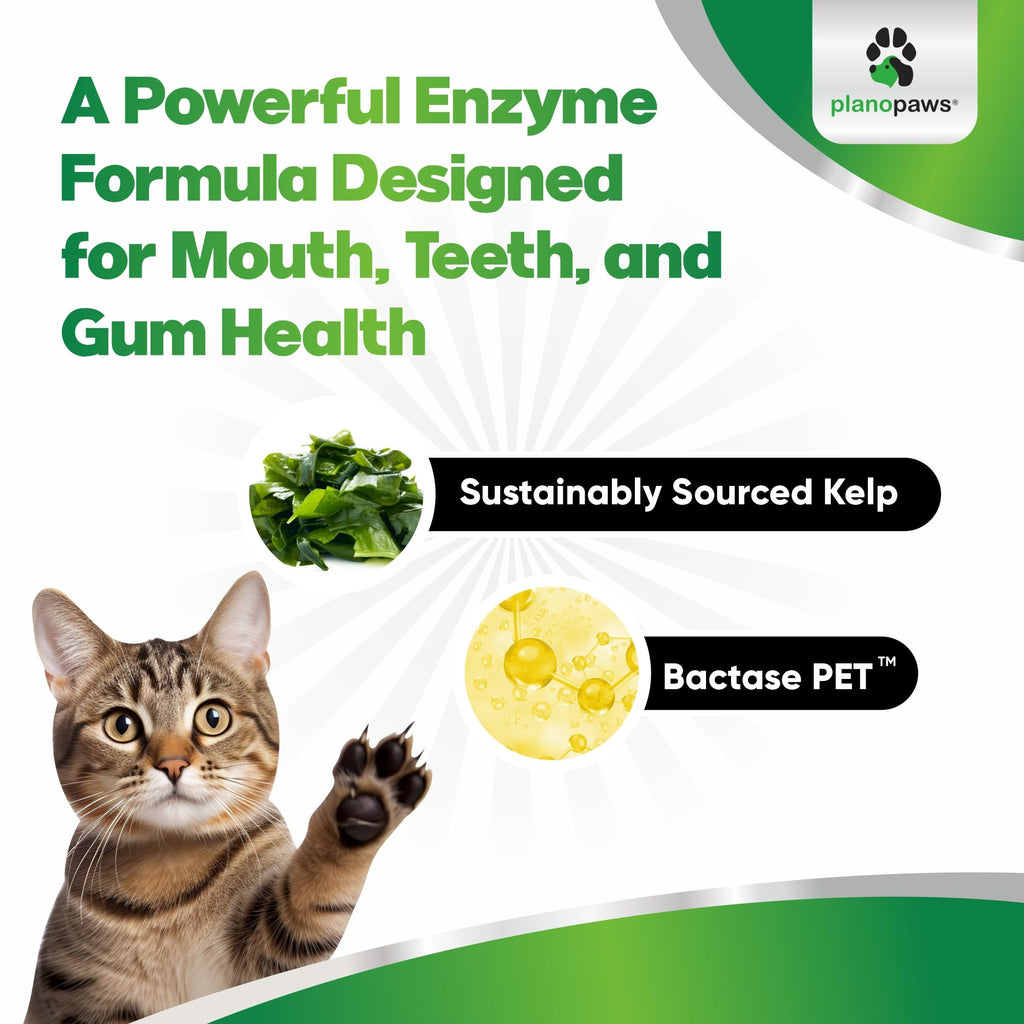 Dental Powder for Teeth Cleaning G1986