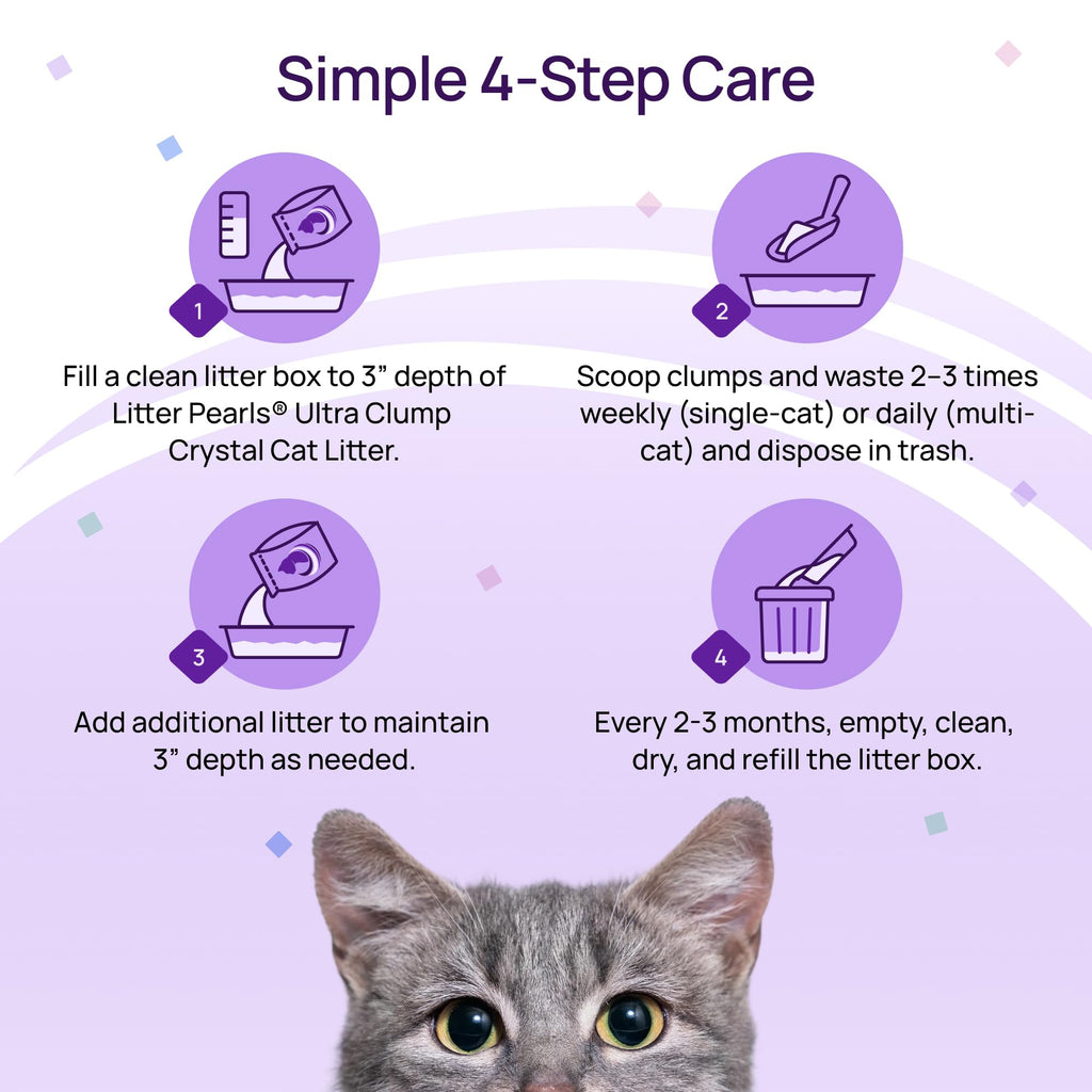 Unscented Crystal Clumping Cat Litter 8lb Z807150