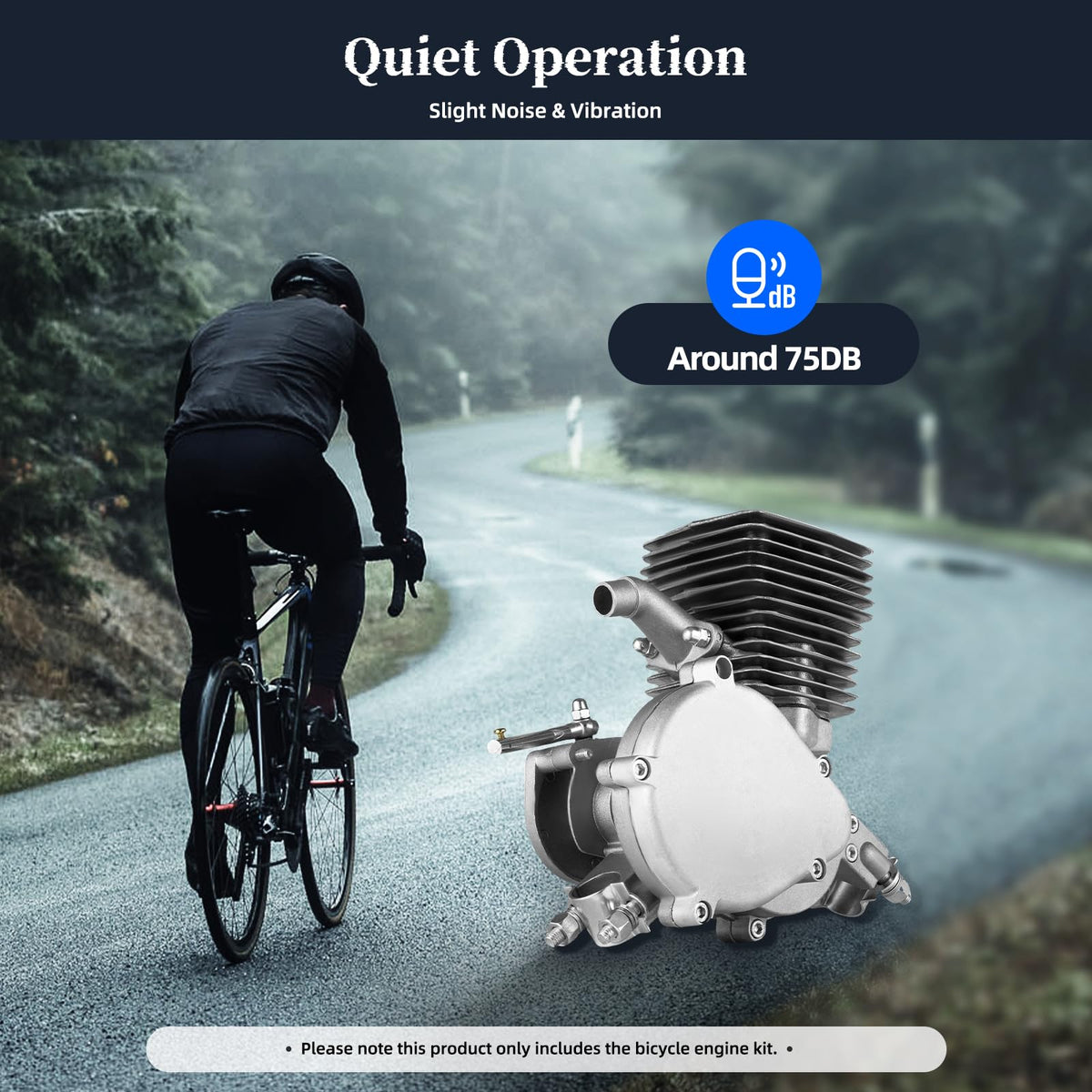 100CC 2 Stroke Air Cooling Bicycle Engine Kit N20185