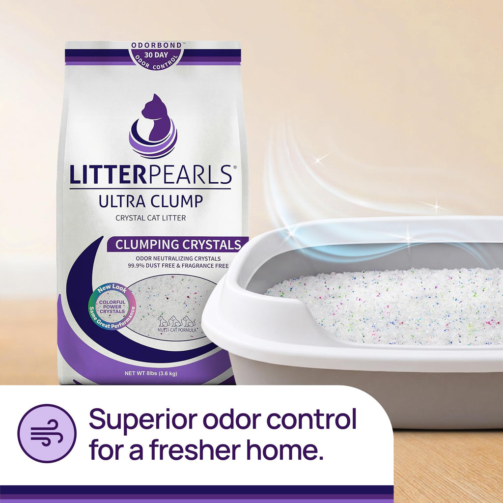 Unscented Crystal Clumping Cat Litter 8lb Z807150