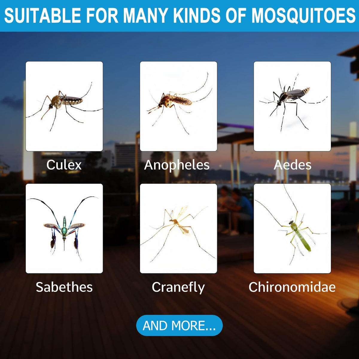 Mosquito Attractant Bait Refill Cartridge Z573275