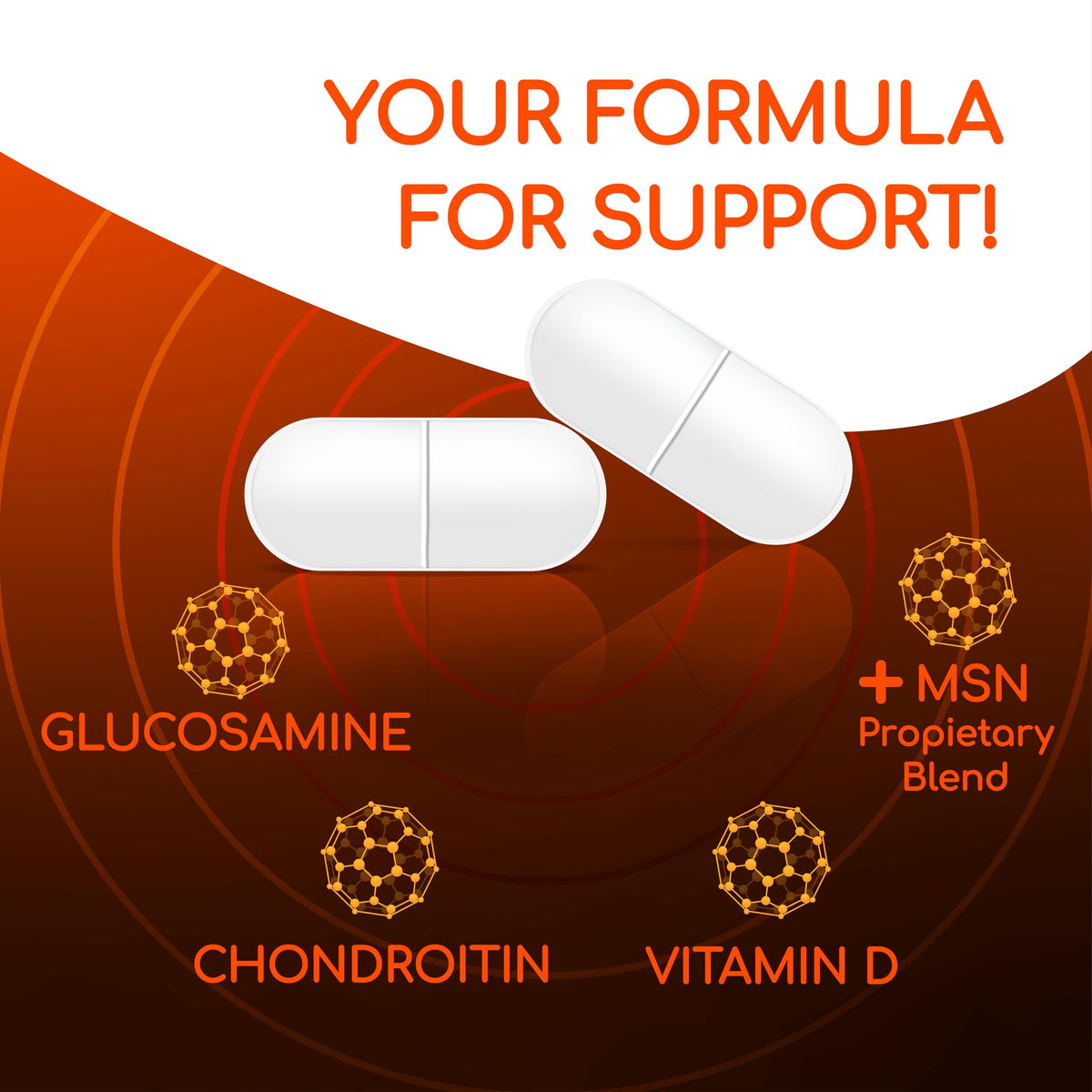 Joint Support Supplement 60 Count 6 Pack E9149
