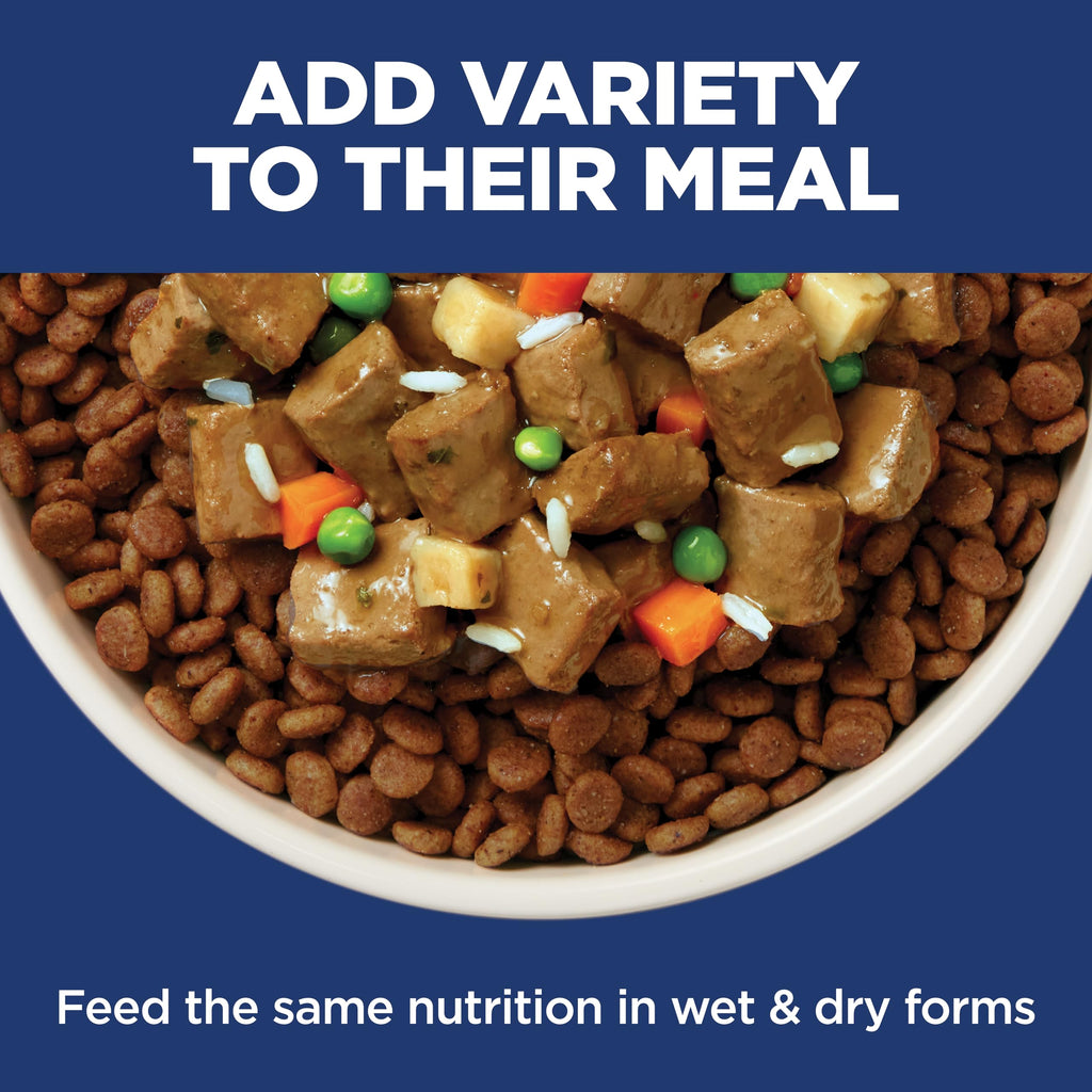 Sensitive Stomach & Skin Dry Dog Food A742