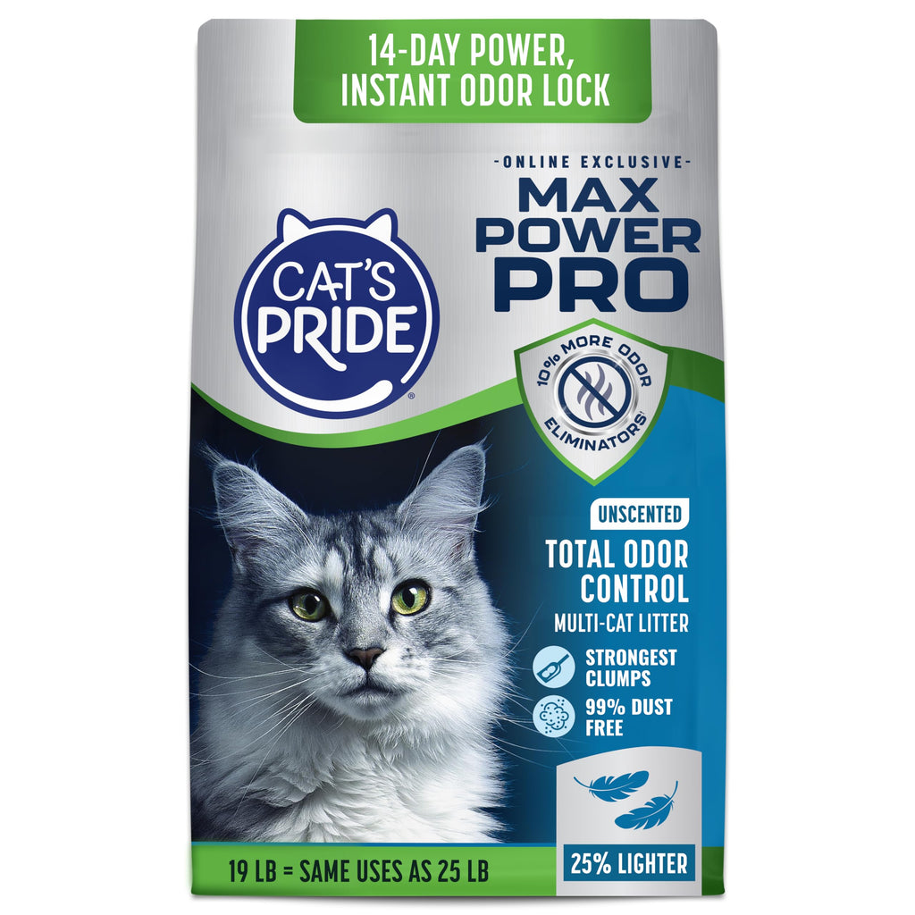 Unscented Clumping Litter 19lb C6799