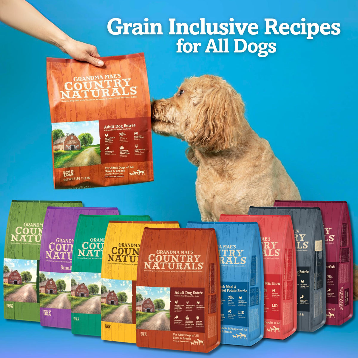 Chicken & Brown Rice Dry Dog Food 12 LB Bag U678318