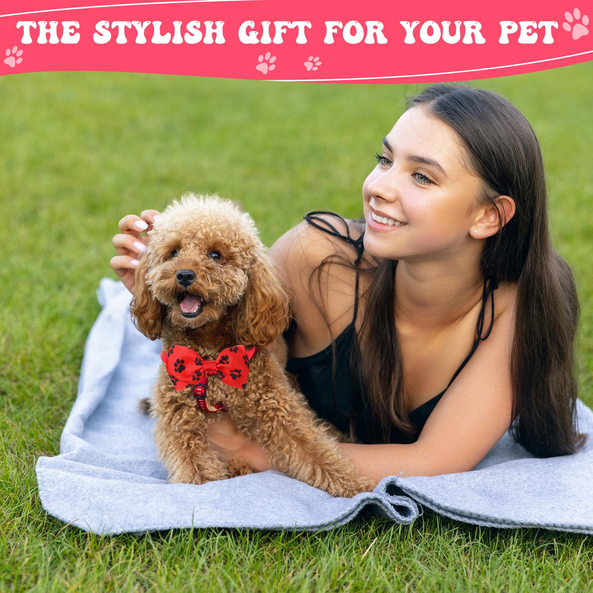100 Pieces Dog Bow Tie Collar Set I319989