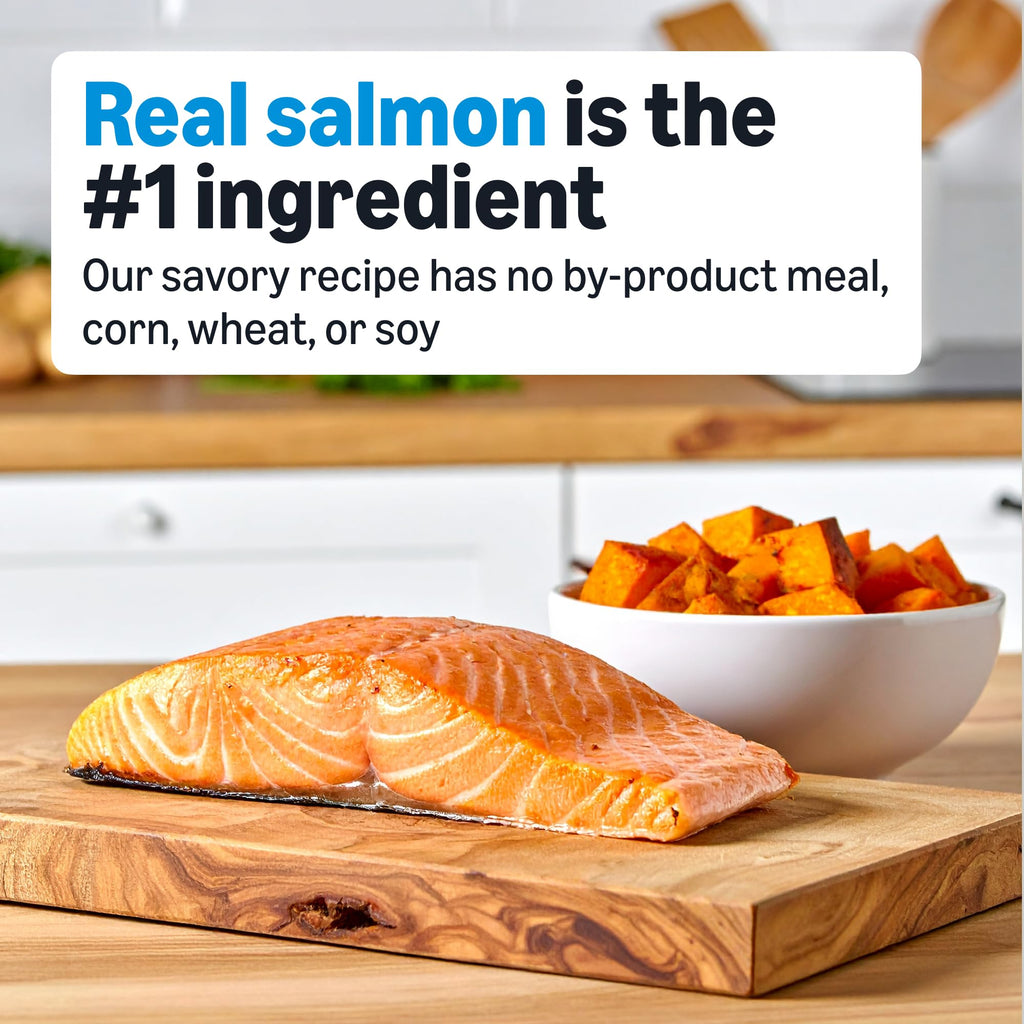 Grain Free Salmon & Sweet Potato Dry Dog Food 24 lb Bag C59004
