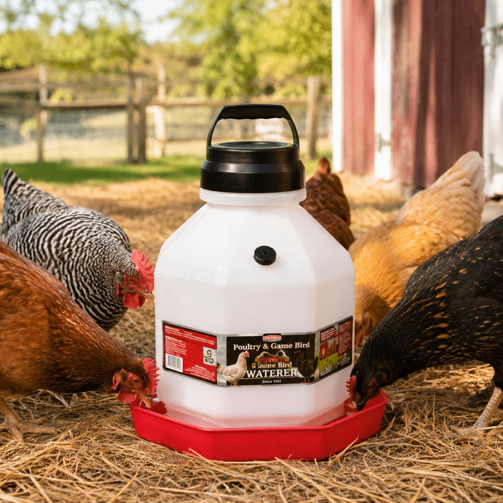 5 Gallon Translucent Plastic Poultry Waterer C9726