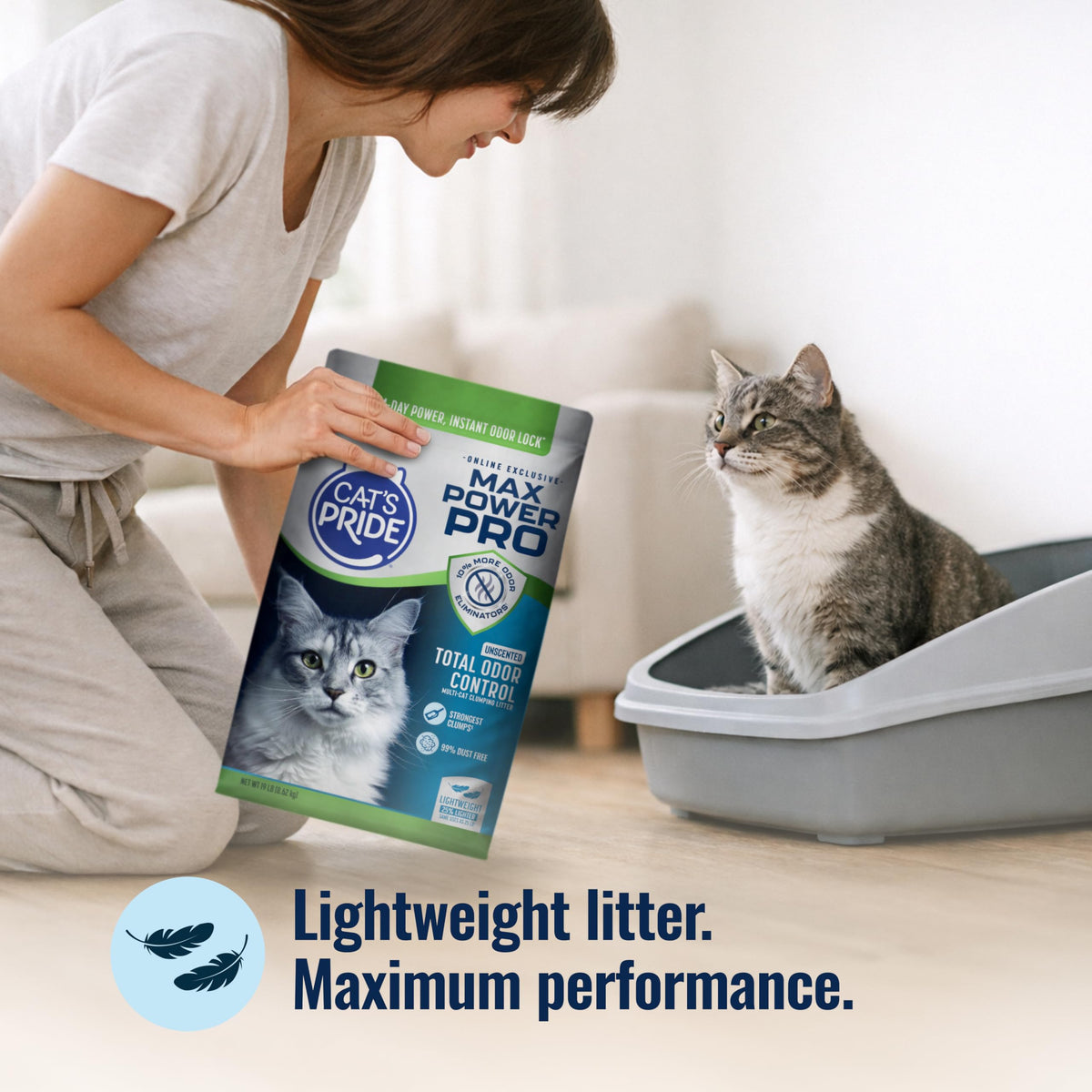 Unscented Clumping Litter 19lb C6799