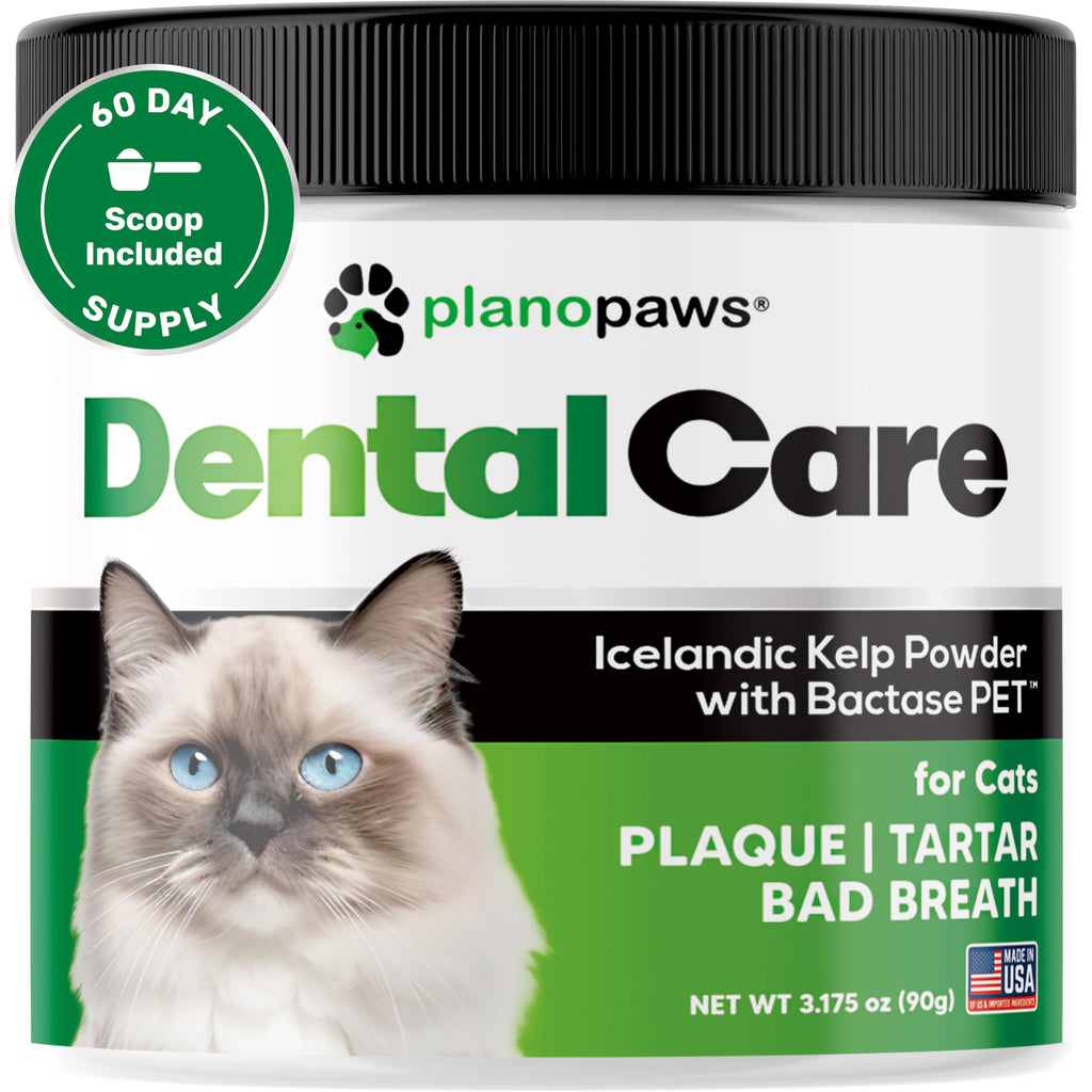 Dental Powder for Teeth Cleaning G1986