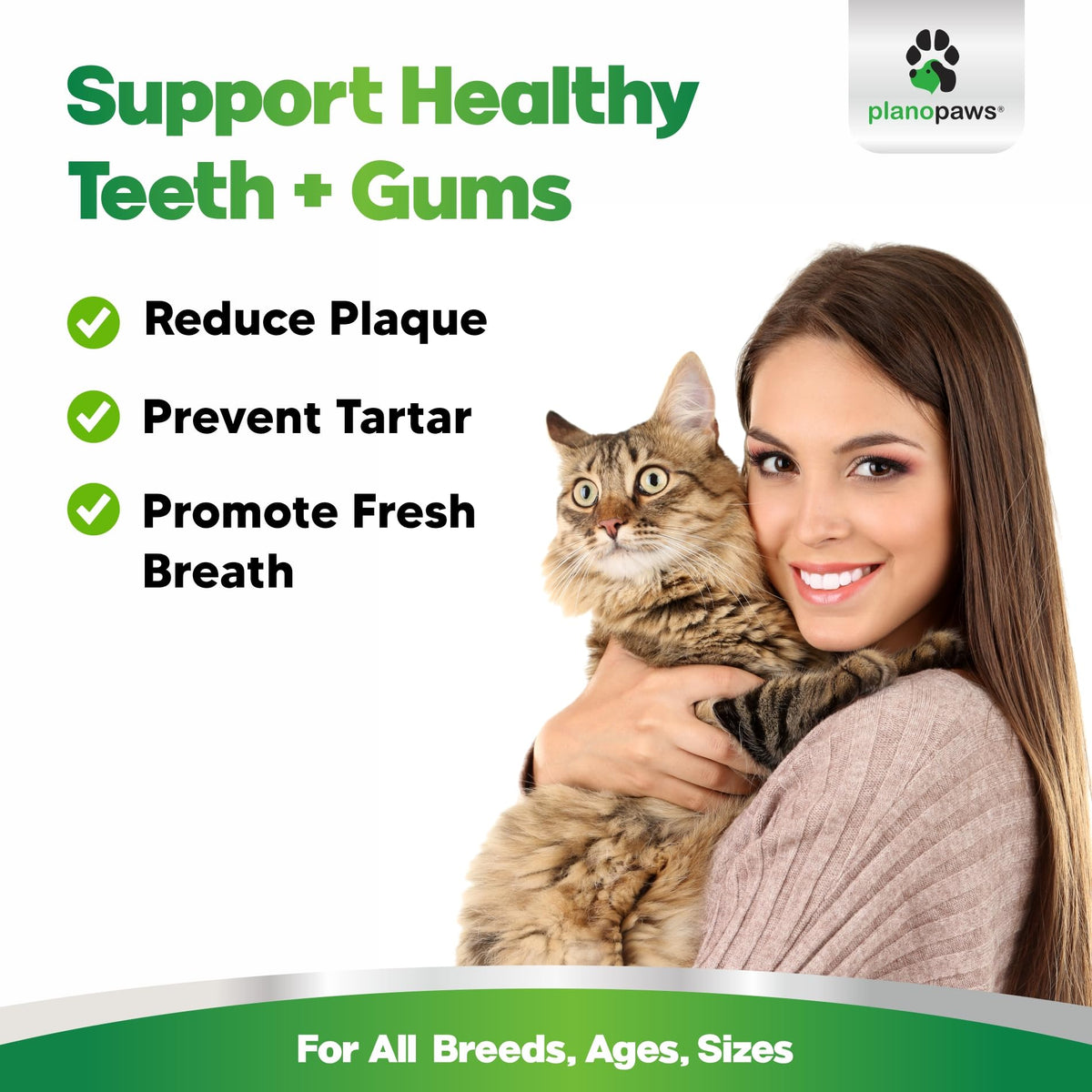 Dental Powder for Teeth Cleaning G1986