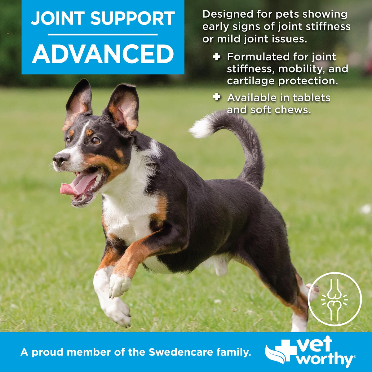 90ct Hip & Joint Tablets for Dogs X249240