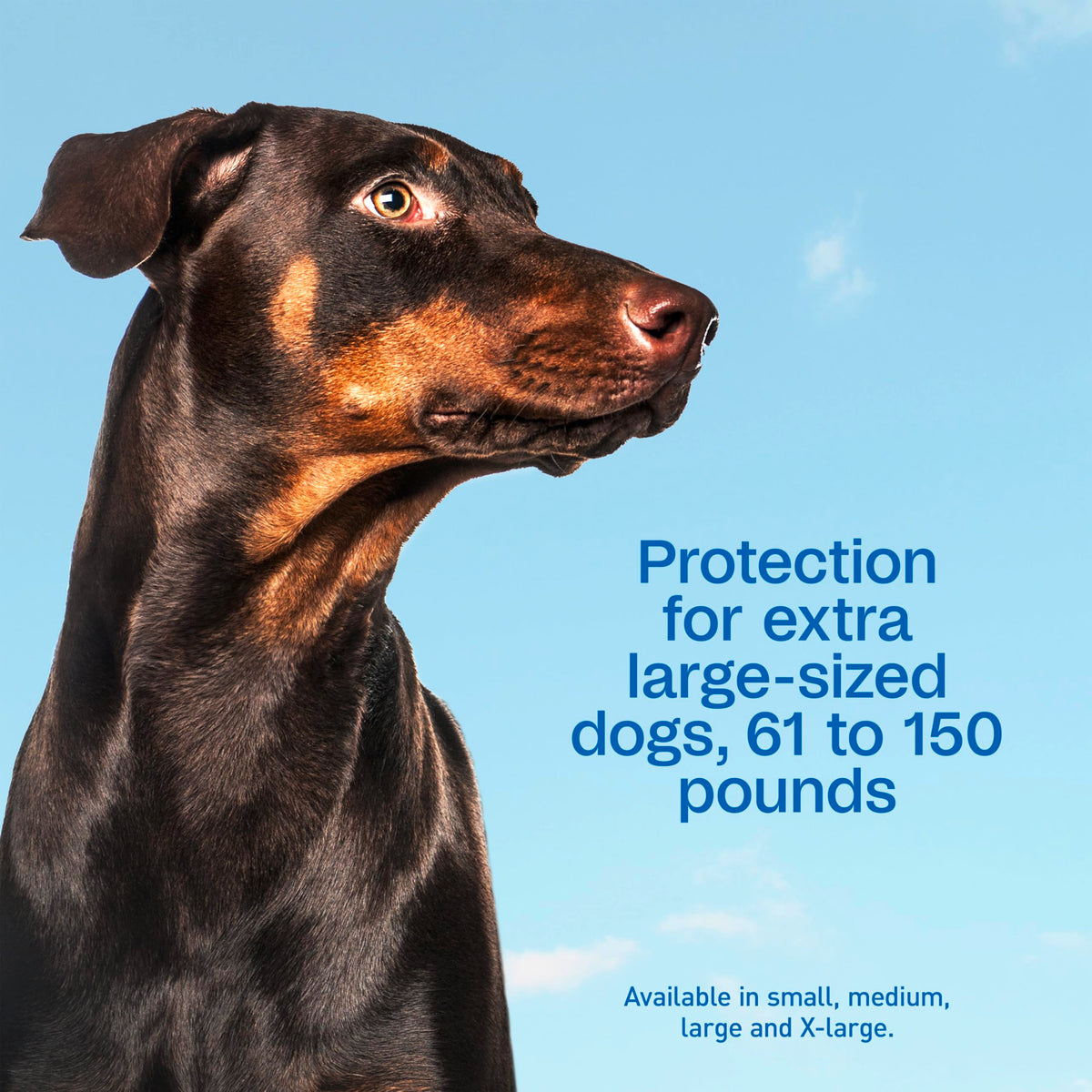 Flea & Tick Prevention Spot On 3 Pack L6828