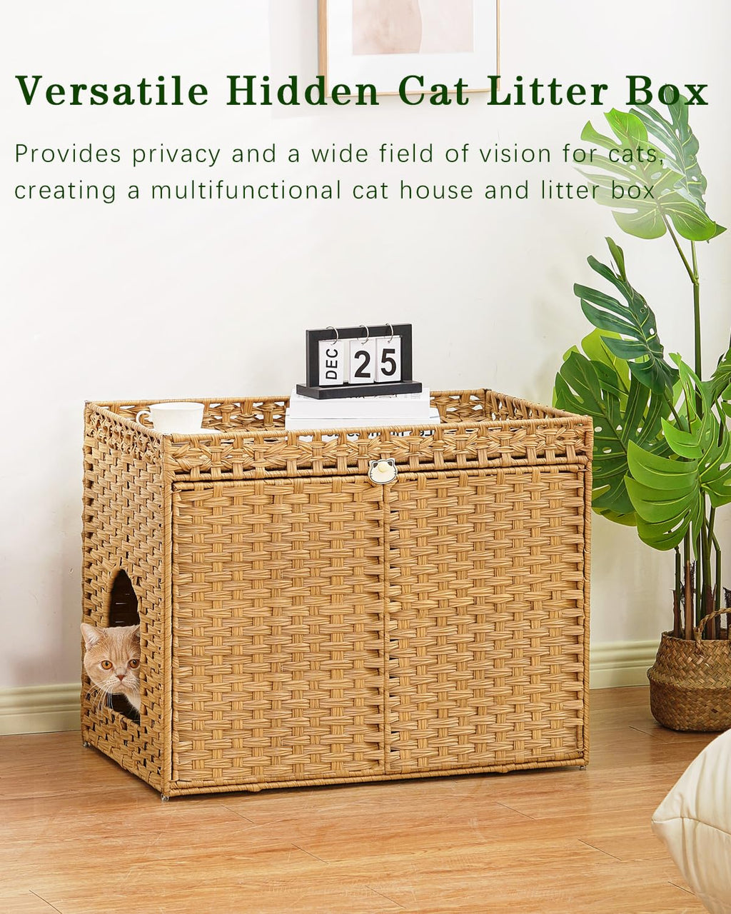 Cat Litter Box Enclosure X13643