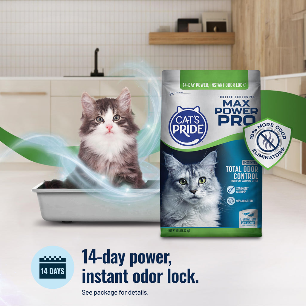 Unscented Clumping Litter 19lb C6799
