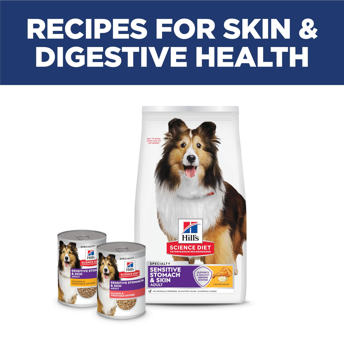 Sensitive Stomach & Skin Dry Dog Food A742