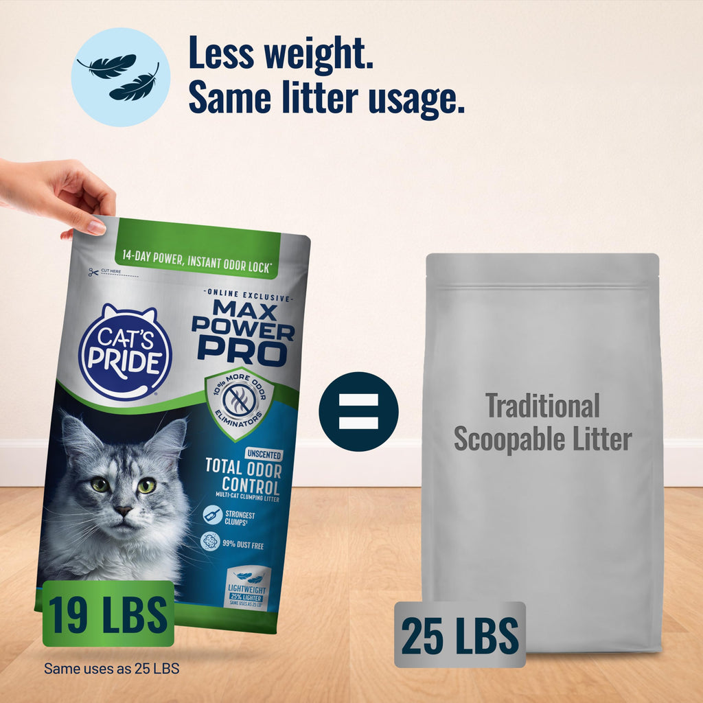 Unscented Clumping Litter 19lb C6799