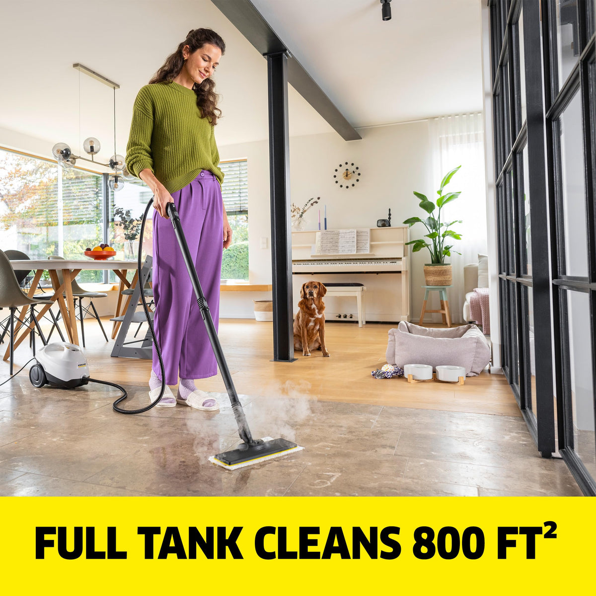 Steam Cleaner, 40 Sec Heat-up, Chemical-Free E5410