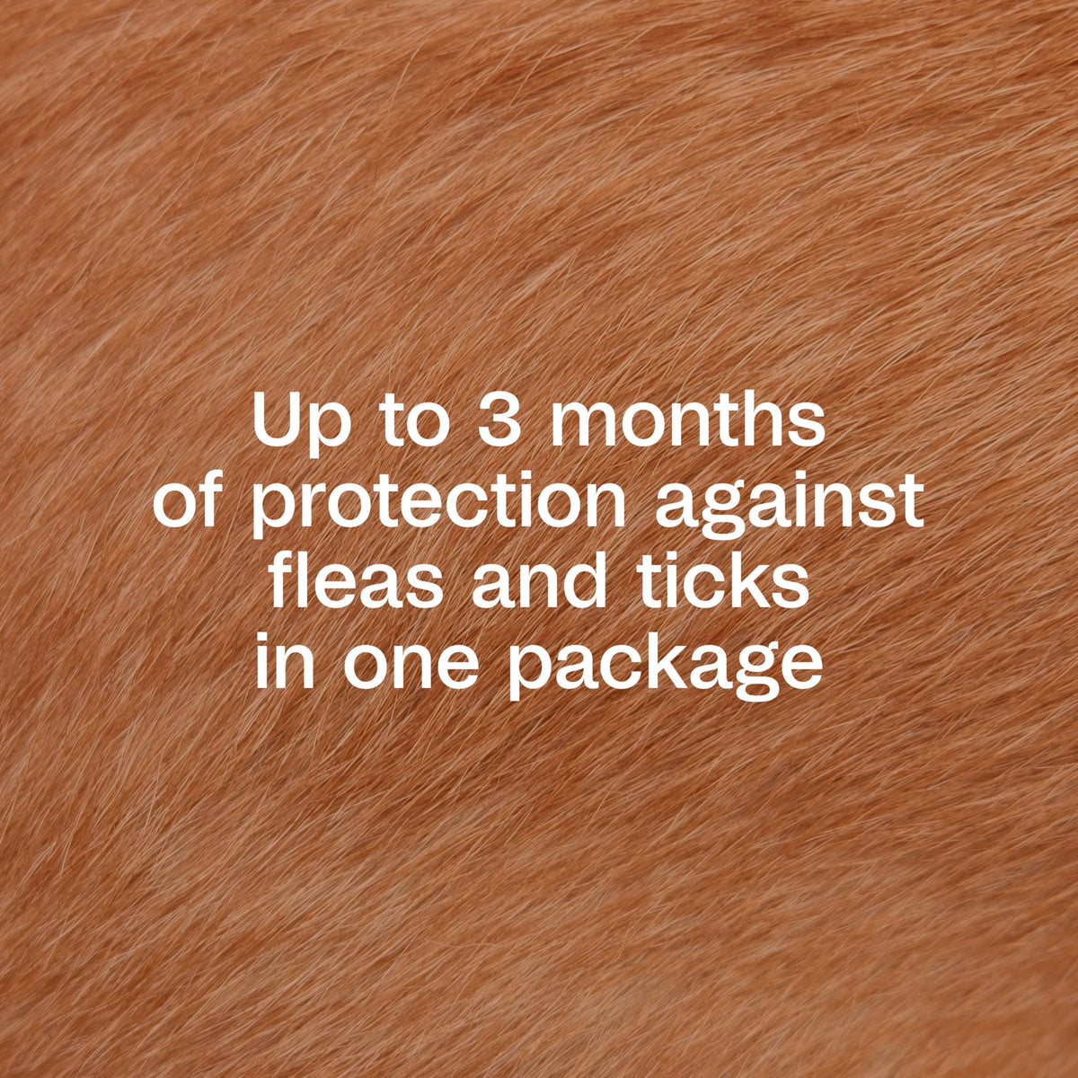 Flea & Tick Prevention Spot On 3 Pack L6828