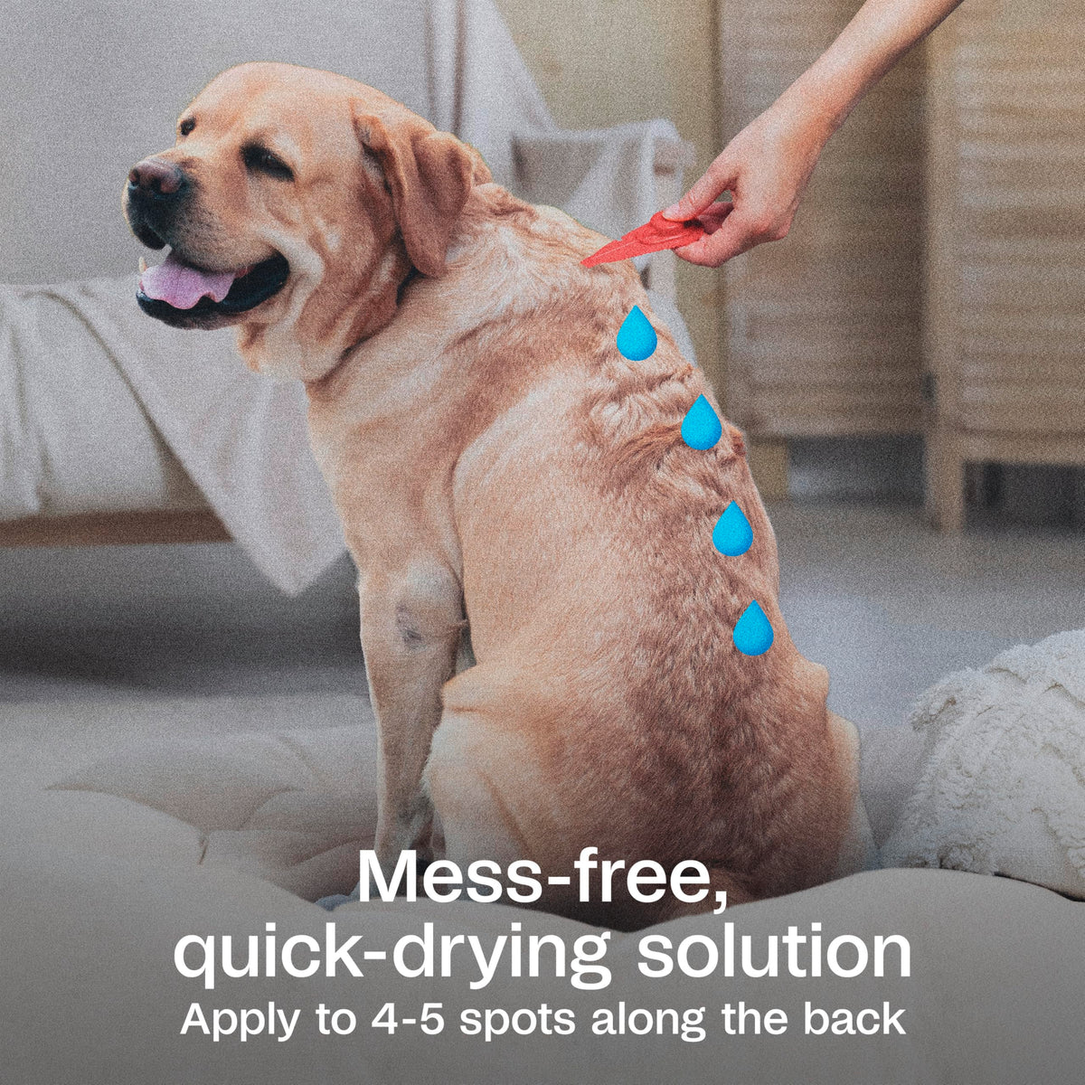 Flea & Tick Prevention Spot On 3 Pack L6828